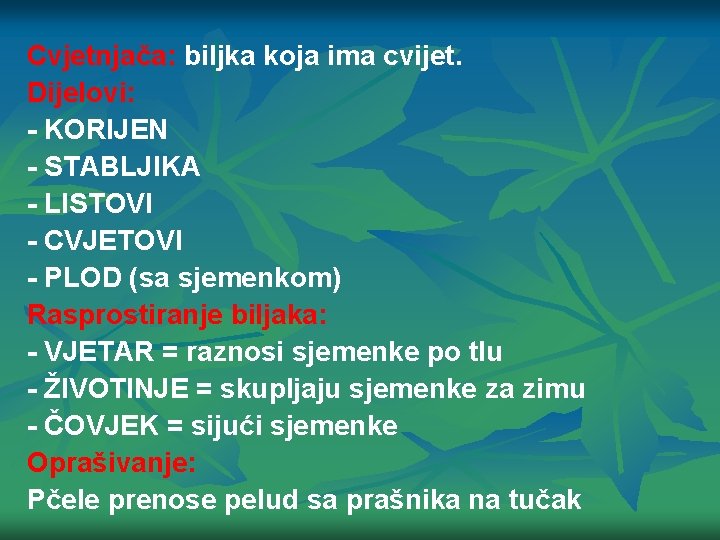 Cvjetnjača: biljka koja ima cvijet. Dijelovi: - KORIJEN - STABLJIKA - LISTOVI - CVJETOVI