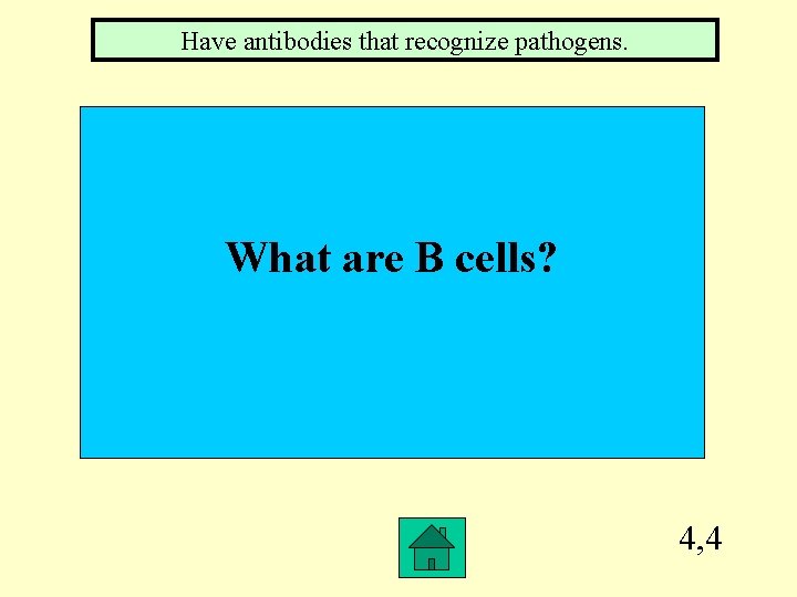 Have antibodies that recognize pathogens. What are B cells? 4, 4 