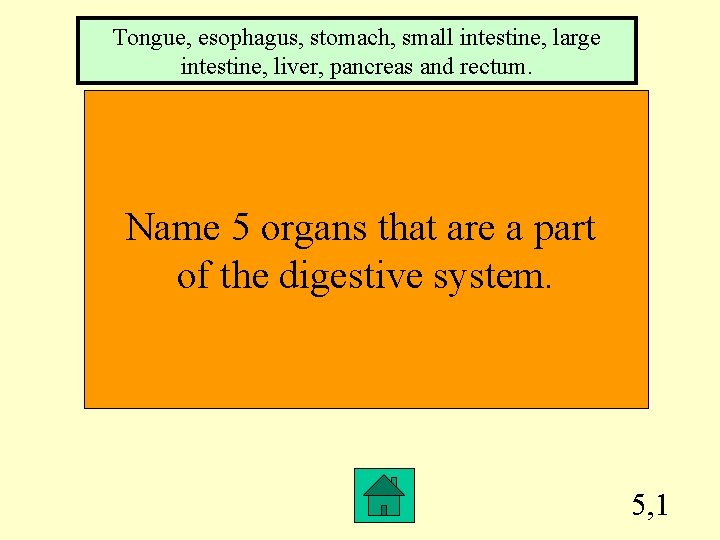 Tongue, esophagus, stomach, small intestine, large intestine, liver, pancreas and rectum. Name 5 organs