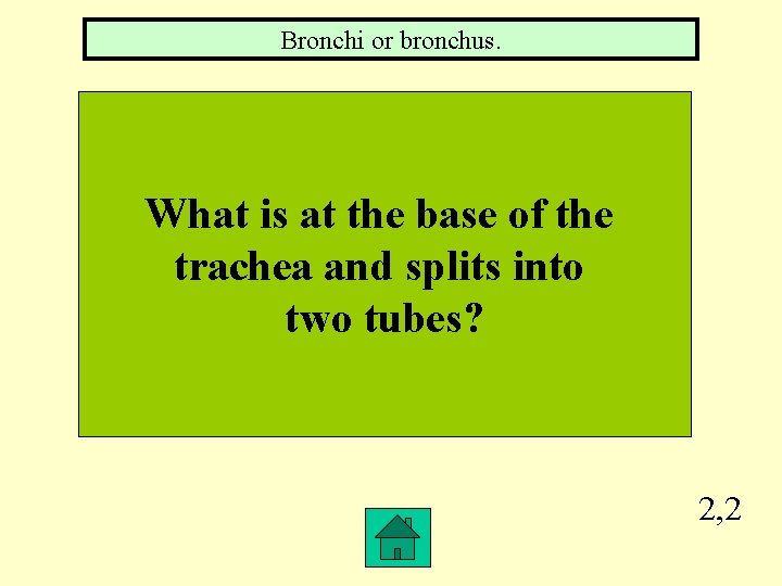 Bronchi or bronchus. What is at the base of the trachea and splits into