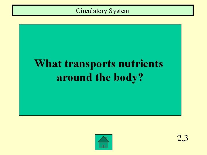 Circulatory System What transports nutrients around the body? 2, 3 