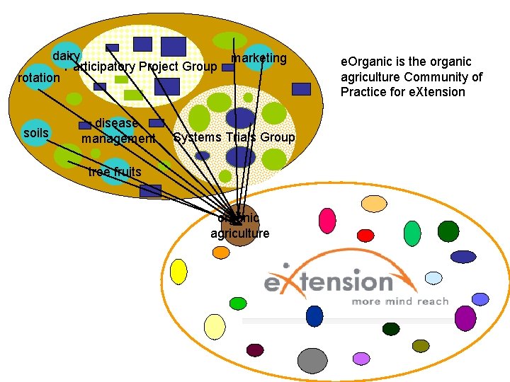 dairy Participatory Project Group rotation soils disease management marketing Systems Trials Group tree fruits dairy Participatory Project Group rotation soils disease management marketing Systems Trials Group tree fruits