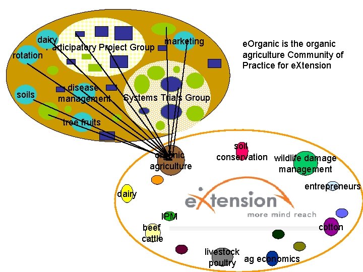 dairy Participatory Project Group rotation soils disease management marketing e. Organic is the organic dairy Participatory Project Group rotation soils disease management marketing e. Organic is the organic