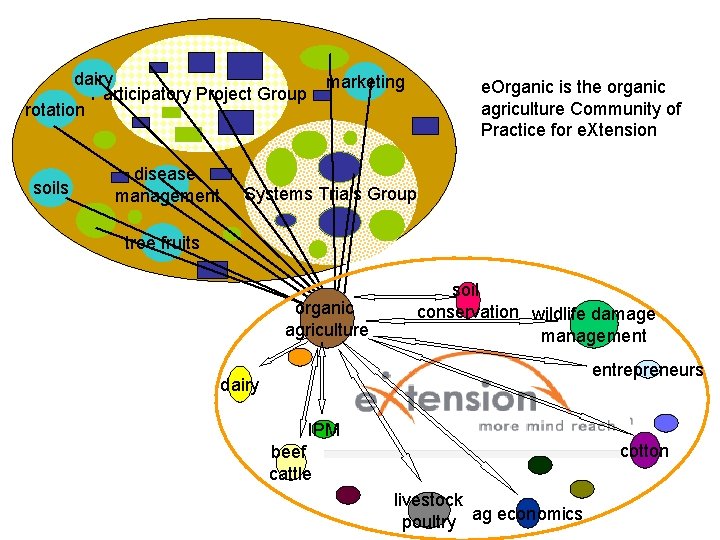 dairy Participatory Project Group rotation soils disease management marketing e. Organic is the organic dairy Participatory Project Group rotation soils disease management marketing e. Organic is the organic