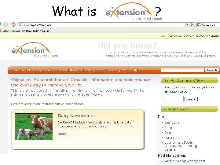 What is ? What is ?