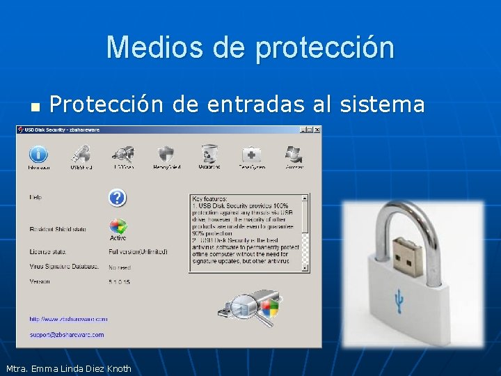 Medios de protección n Protección de entradas al sistema Mtra. Emma Linda Diez Knoth