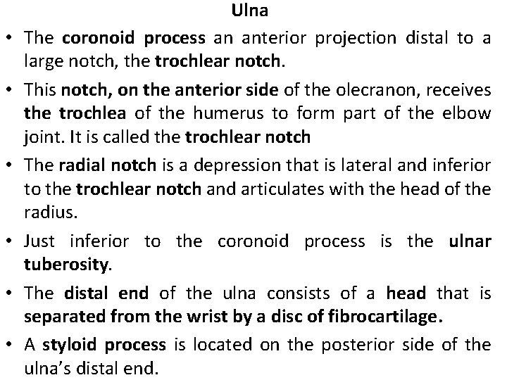  • • • Ulna The coronoid process an anterior projection distal to a