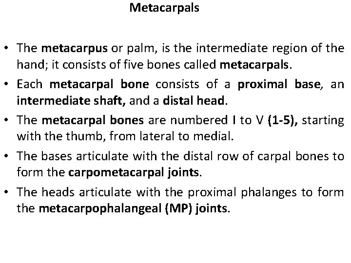 Metacarpals • The metacarpus or palm, is the intermediate region of the hand; it