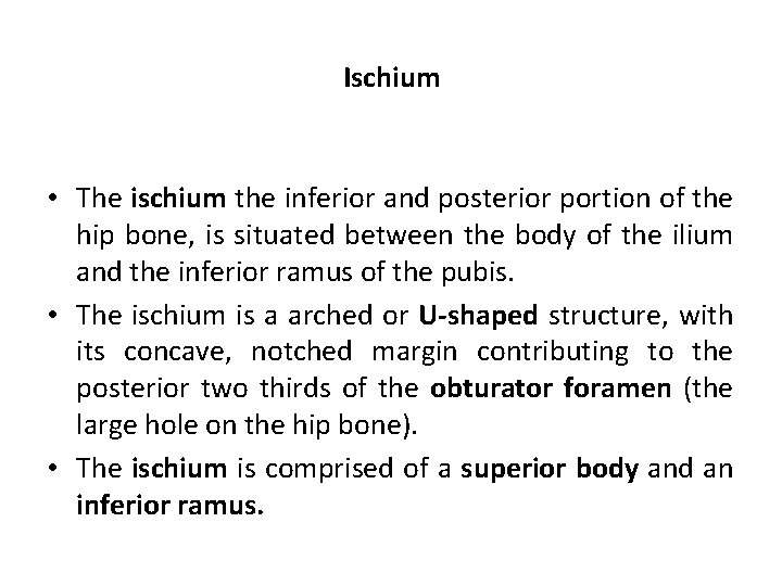 Ischium • The ischium the inferior and posterior portion of the hip bone, is