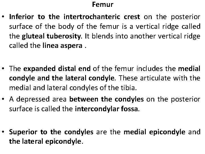 Femur • Inferior to the intertrochanteric crest on the posterior surface of the body