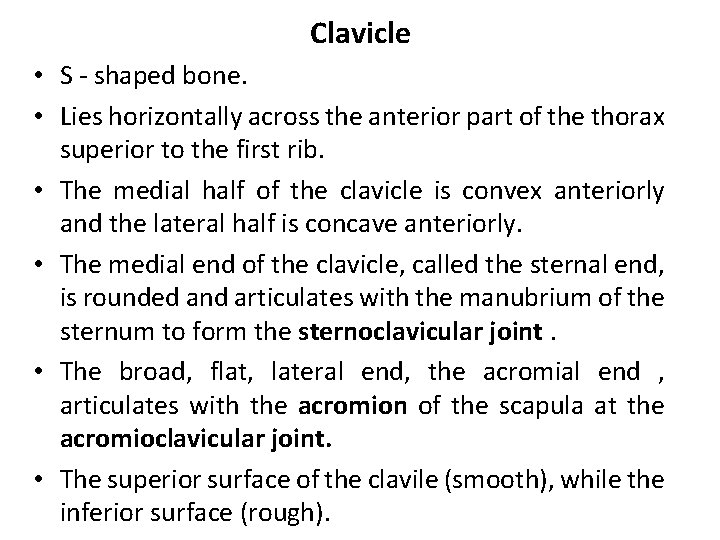 Clavicle • S - shaped bone. • Lies horizontally across the anterior part of