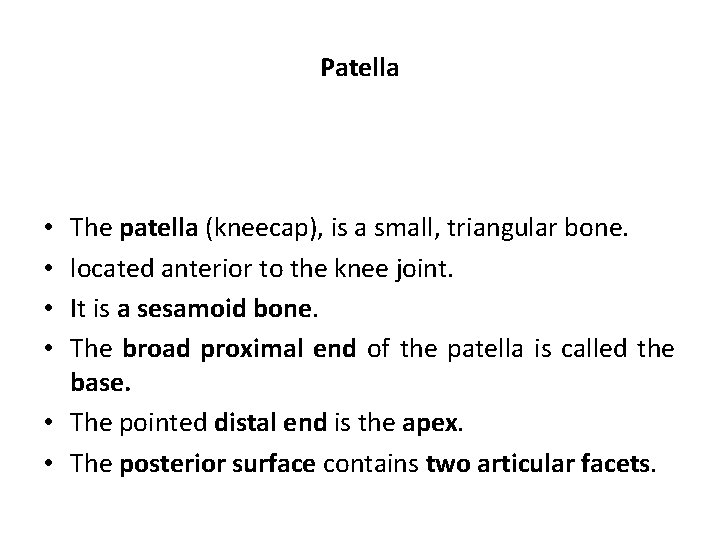 Patella The patella (kneecap), is a small, triangular bone. located anterior to the knee