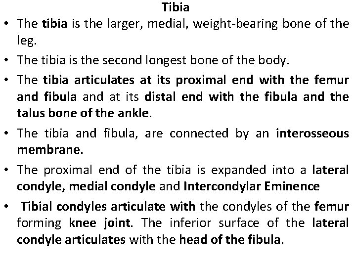  • • • Tibia The tibia is the larger, medial, weight-bearing bone of