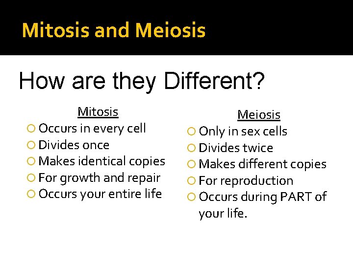 Mitosis and Meiosis How are they Different? Mitosis Occurs in every cell Divides once