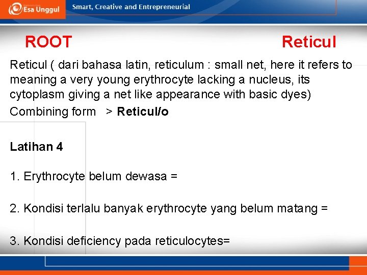 ROOT Reticul ( dari bahasa latin, reticulum : small net, here it refers to