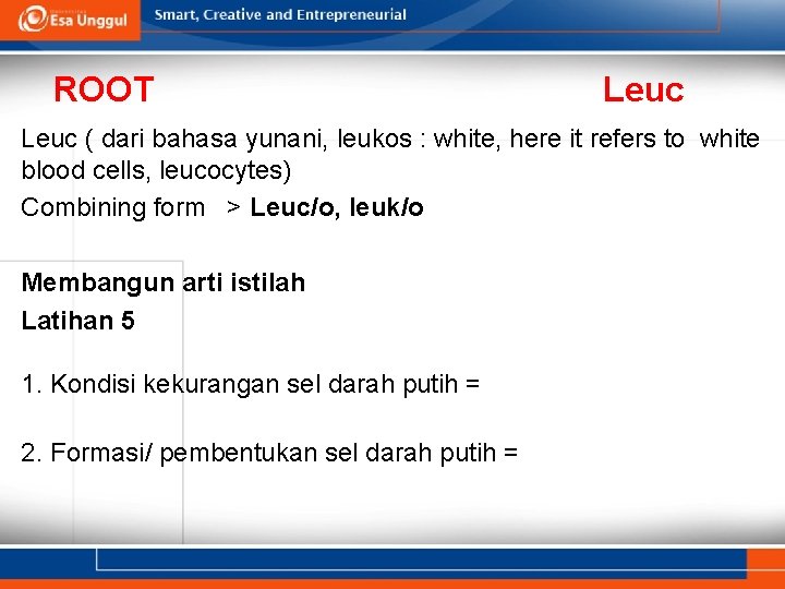 ROOT Leuc ( dari bahasa yunani, leukos : white, here it refers to white