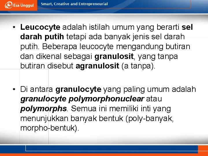  • Leucocyte adalah istilah umum yang berarti sel darah putih tetapi ada banyak