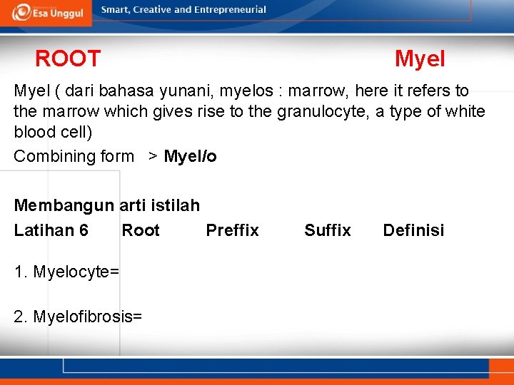 ROOT Myel ( dari bahasa yunani, myelos : marrow, here it refers to the