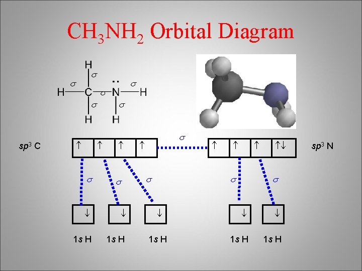 CH 3 NH 2 Orbital Diagram s s 1 s H s s s