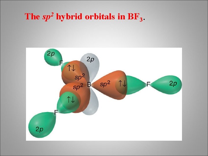 The sp 2 hybrid orbitals in BF 3. 