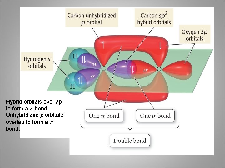 Hybrid orbitals overlap to form a s bond. Unhybridized p orbitals overlap to form