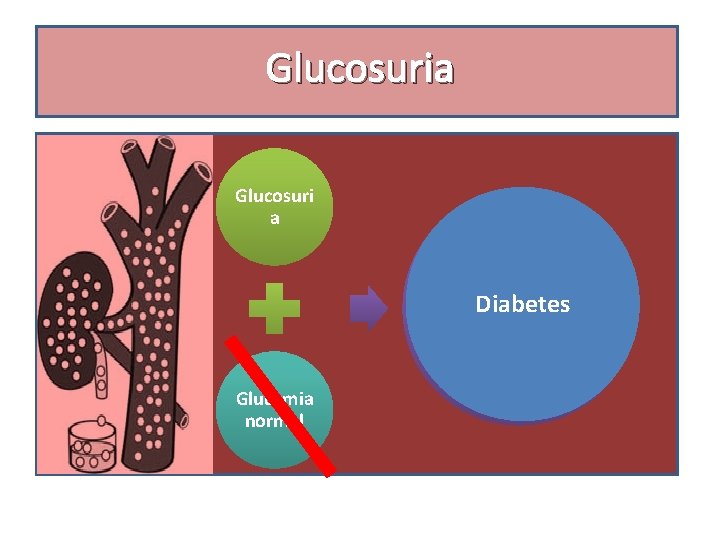 Glucosuria Glucosuria Diabetes renalcontaminación Glucemia normal 