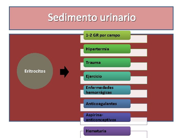 Sedimento urinario 1 -2 GR por campo Hipertermia Trauma Eritrocitos Ejercicio Enfermedades hemorrágicas Anticoagulantes