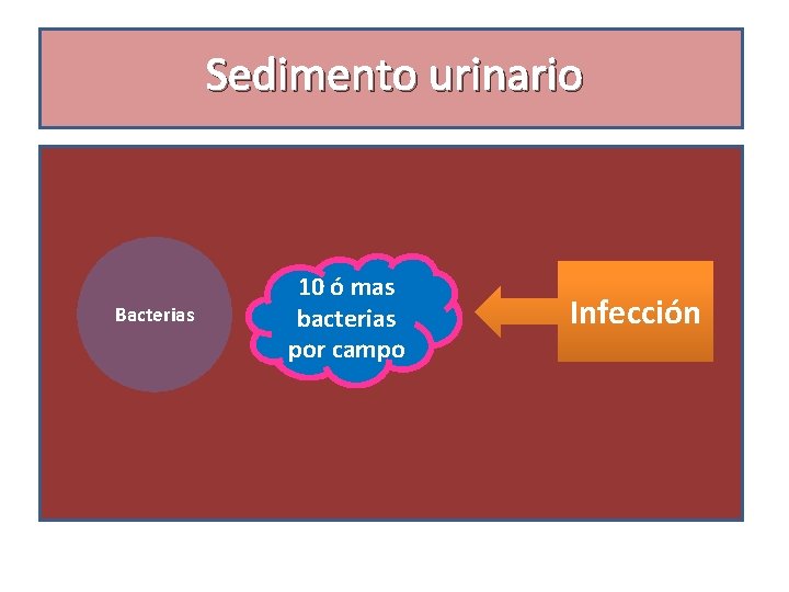 Sedimento urinario Bacterias 10 ó mas bacterias por campo Infección 