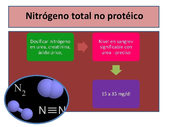 Nitrógeno total no protéico Dosificar nitrógeno en urea, creatinina, ácido úrico, Nivel en sangre=