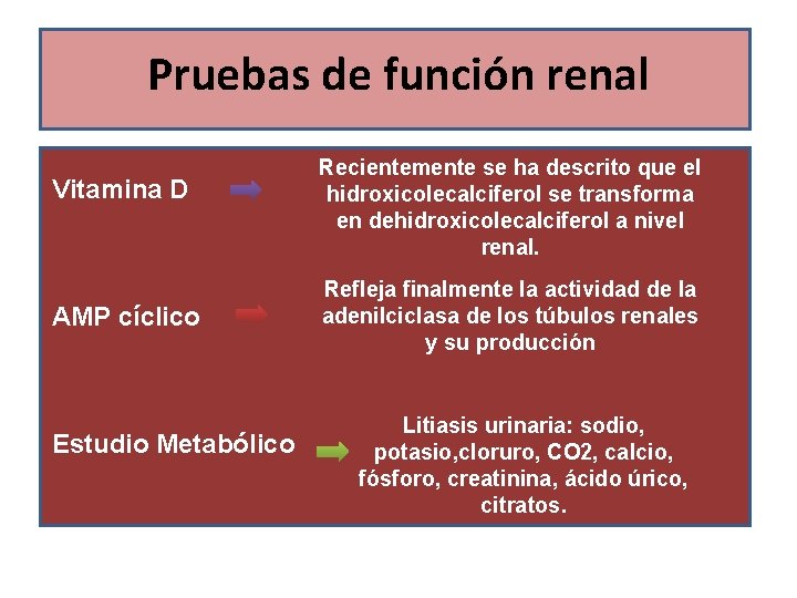 Pruebas de función renal Vitamina D AMP cíclico Estudio Metabólico Recientemente se ha descrito
