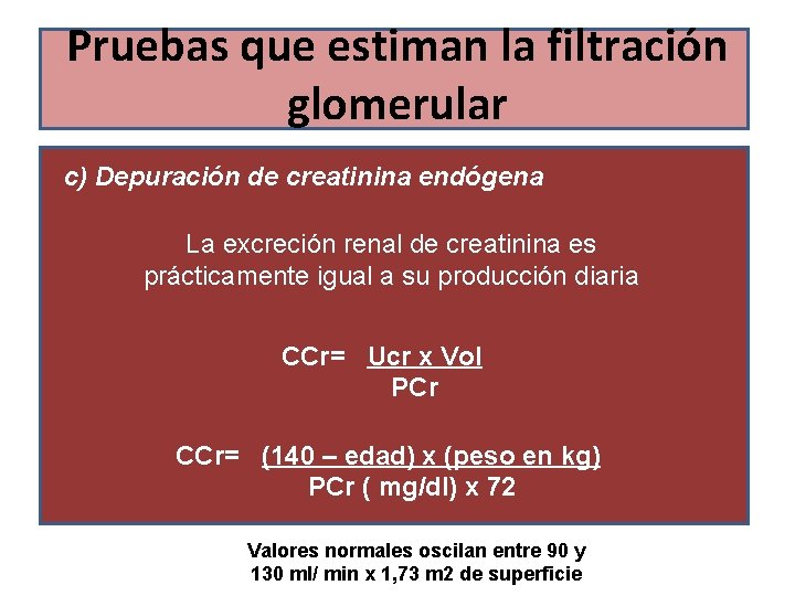 Pruebas que estiman la filtración glomerular c) Depuración de creatinina endógena La excreción renal