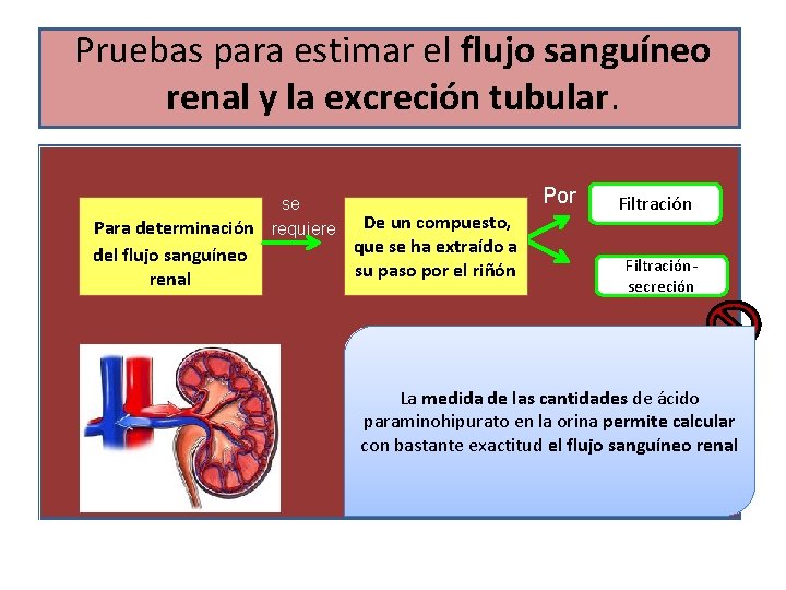 Pruebas para estimar el flujo sanguíneo renal y la excreción tubular. Para determinación del