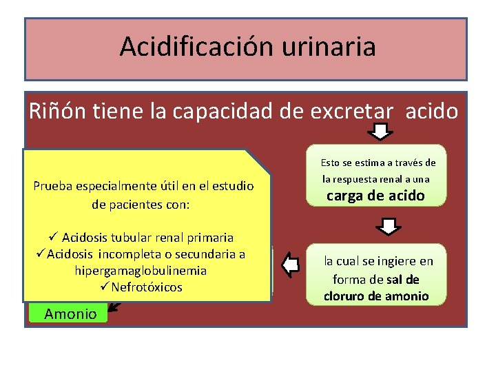 Acidificación urinaria Riñón tiene la capacidad de excretar acido Prueba especialmente útil en el