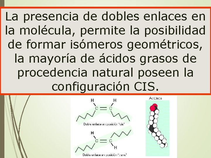 La presencia de dobles enlaces en la molécula, permite la posibilidad de formar isómeros