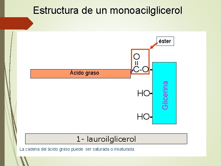 Estructura de un monoacilglicerol éster = O C-O CH 2 Glicerina Ácido graso HO