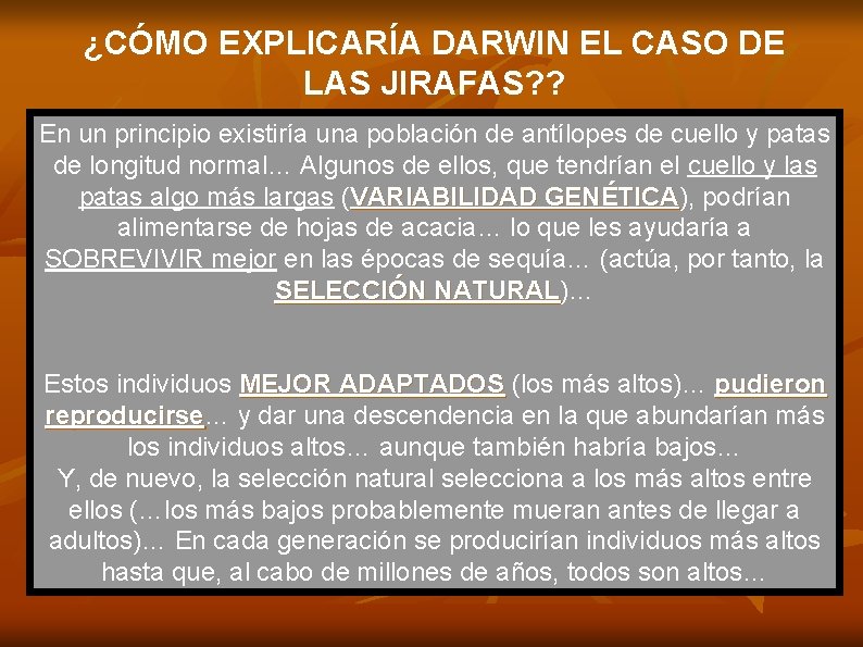 ¿CÓMO EXPLICARÍA DARWIN EL CASO DE LAS JIRAFAS? ? En un principio existiría una