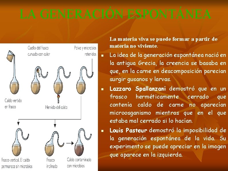 LA GENERACIÓN ESPONTÁNEA La materia viva se puede formar a partir de materia no