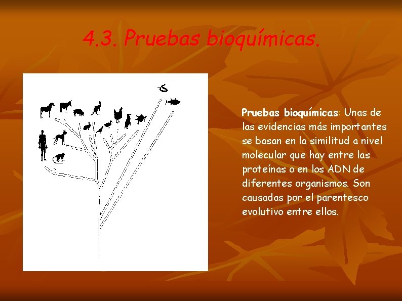 4. 3. Pruebas bioquímicas: Unas de las evidencias más importantes se basan en la