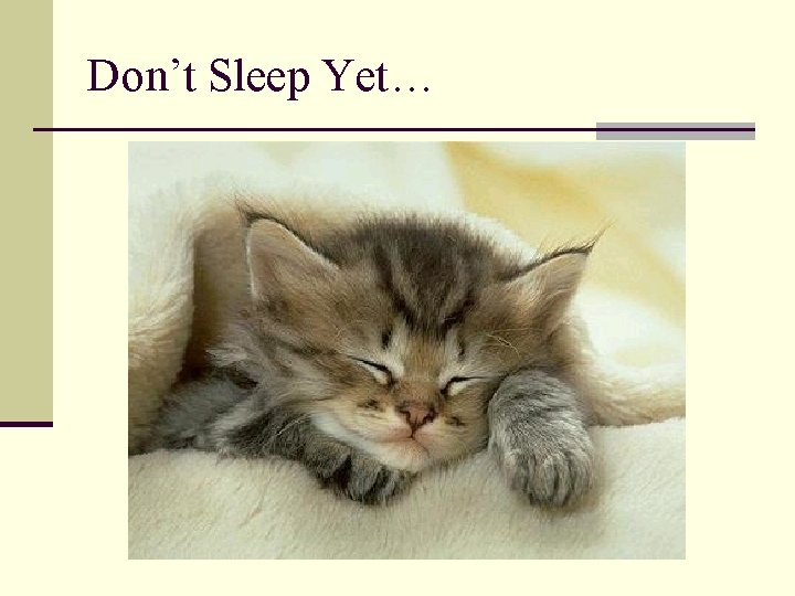 Don’t Sleep Yet… 