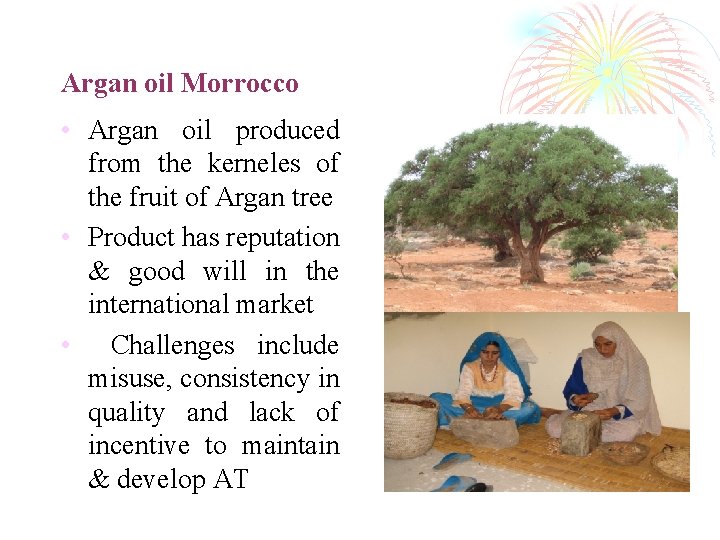 Argan oil Morrocco • Argan oil produced from the kerneles of the fruit of