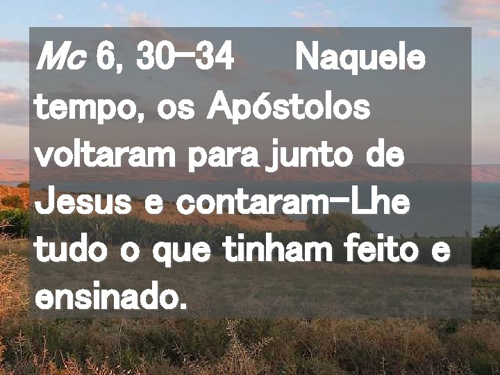 Mc 6, 30 -34 Naquele tempo, os Apóstolos voltaram para junto de Jesus e