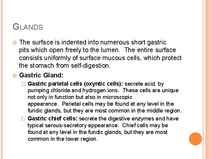 GLANDS The surface is indented into numerous short gastric pits which open freely to