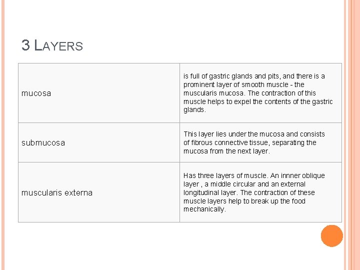 3 LAYERS mucosa is full of gastric glands and pits, and there is a