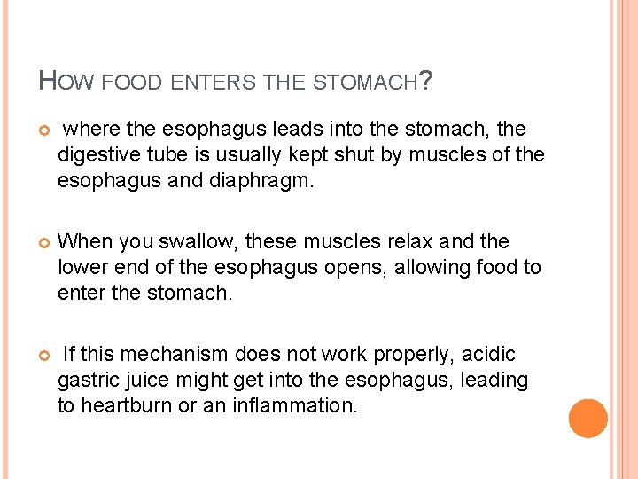 HOW FOOD ENTERS THE STOMACH? where the esophagus leads into the stomach, the digestive