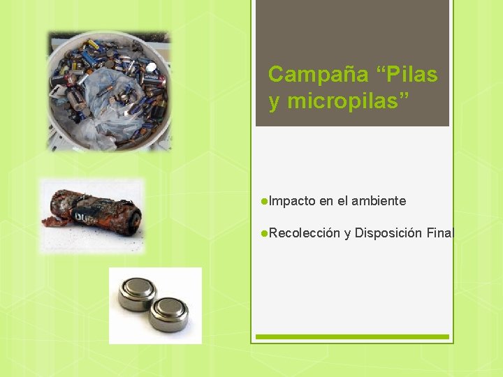 Campaña “Pilas y micropilas” l. Impacto en el ambiente l. Recolección y Disposición Final