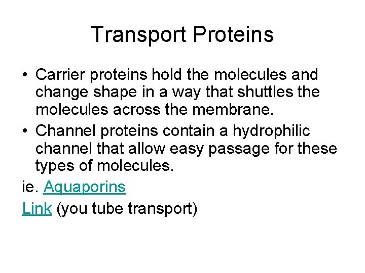 Transport Proteins • Carrier proteins hold the molecules and change shape in a way