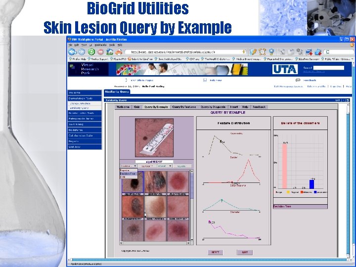 Bio. Grid Utilities Skin Lesion Query by Example 