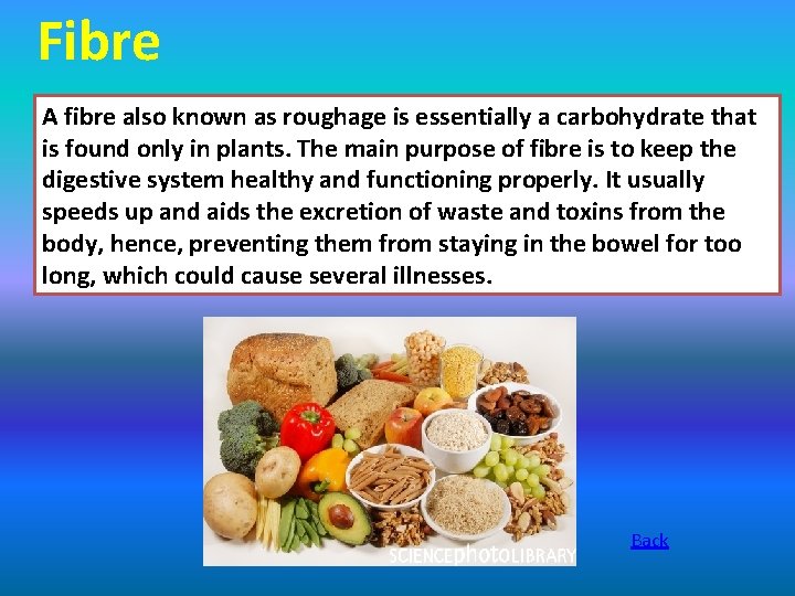 Fibre A fibre also known as roughage is essentially a carbohydrate that is found