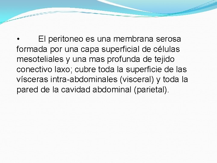  • El peritoneo es una membrana serosa formada por una capa superficial de