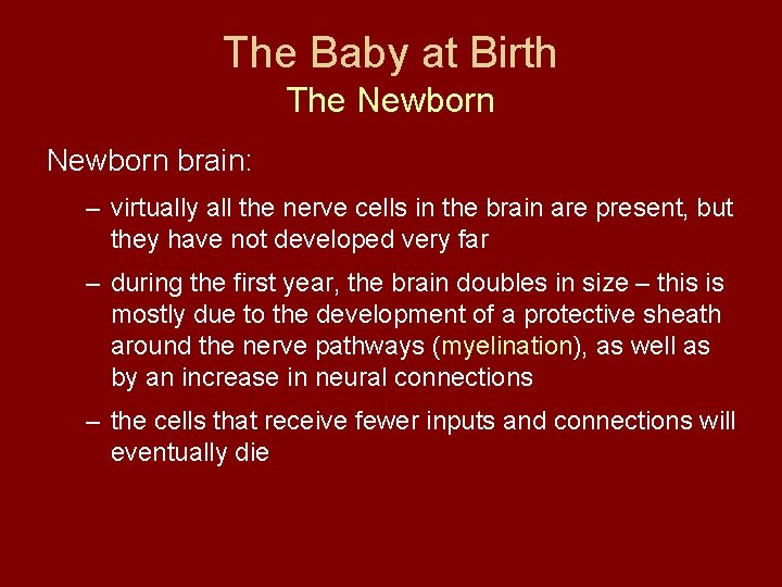 The Baby at Birth The Newborn brain: – virtually all the nerve cells in